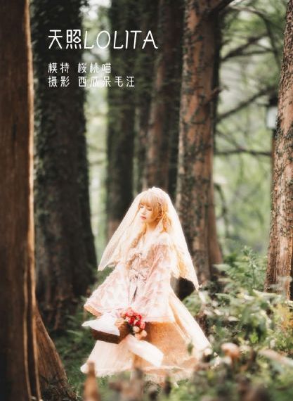 行尸之惧第七季_国产剧手机在线观看