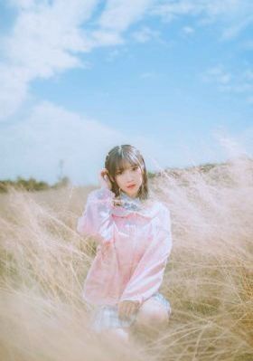 美丽的田野_BT磁力天堂在线观看高清